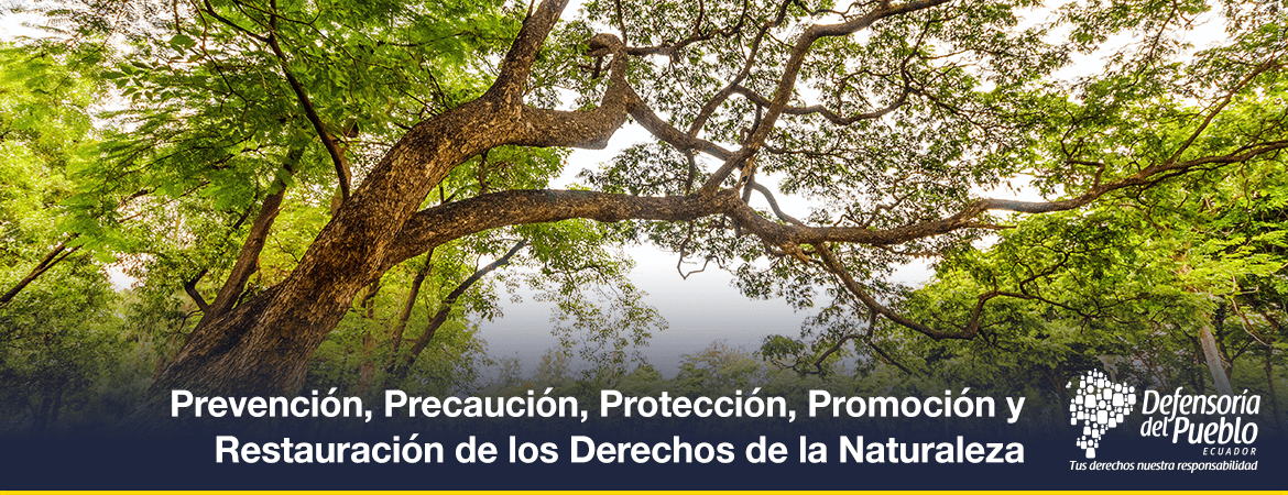 Prevencion-Precaucion-Proteccion-Promocion-y-Restauracion-de-los-Derechos-de-la-Naturaleza