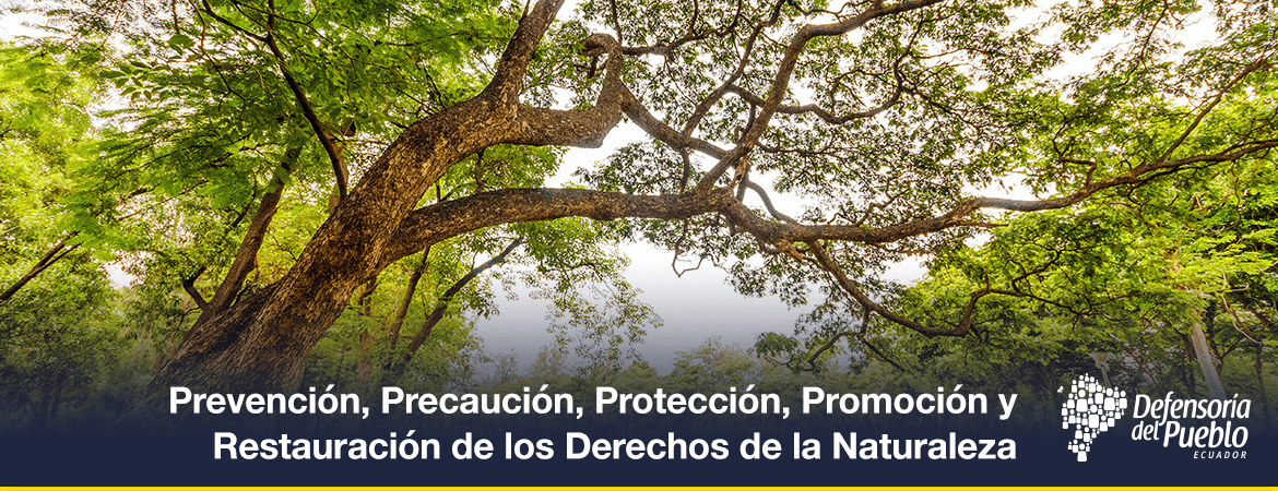 banner-mecanismos-Prevencion-Precaucion-Proteccion-Promocion-y-Restauracion-de-los-Derechos-de-la-Naturaleza