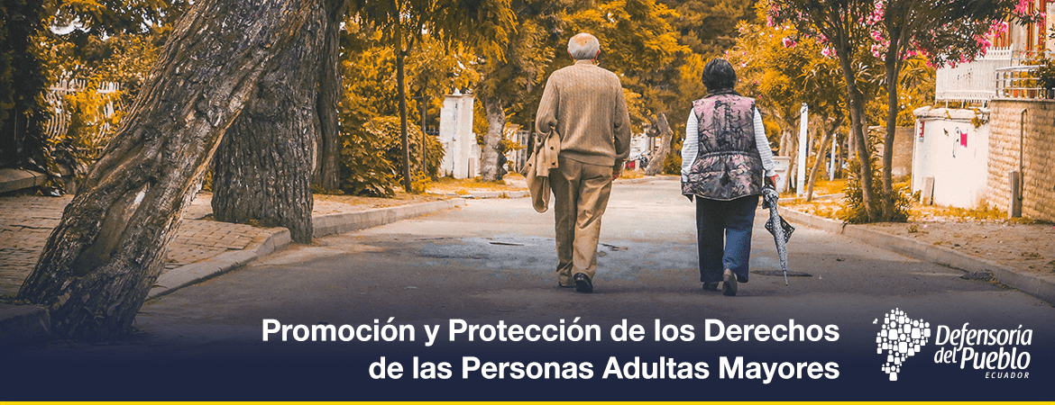 banner-mecanismos-Promocion-y-Proteccion-de-los-Derechos-de-las-Personas-Adultas-Mayores