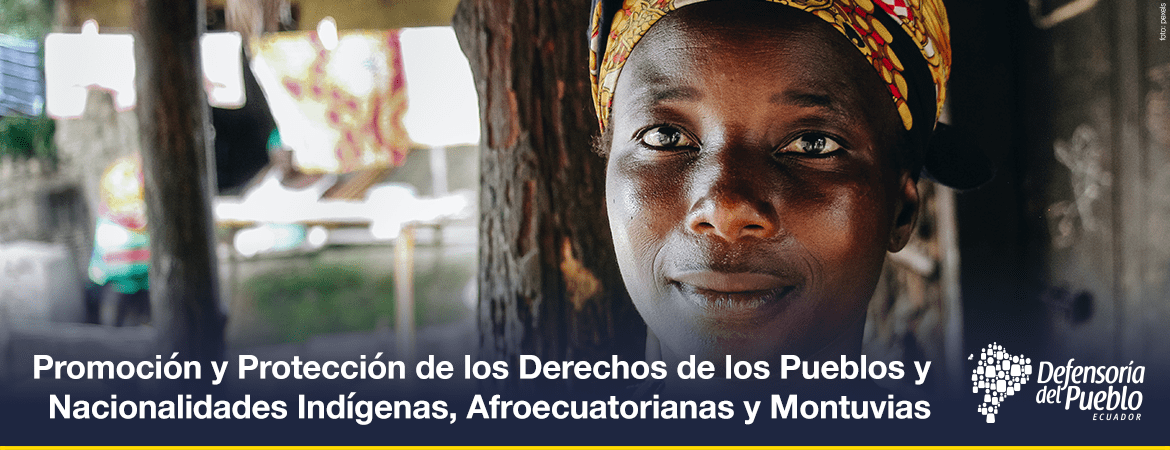 banner-mecanismos-Promocion-y-Proteccion-de-los-Derechos-de-los-Pueblos-y-Naciona